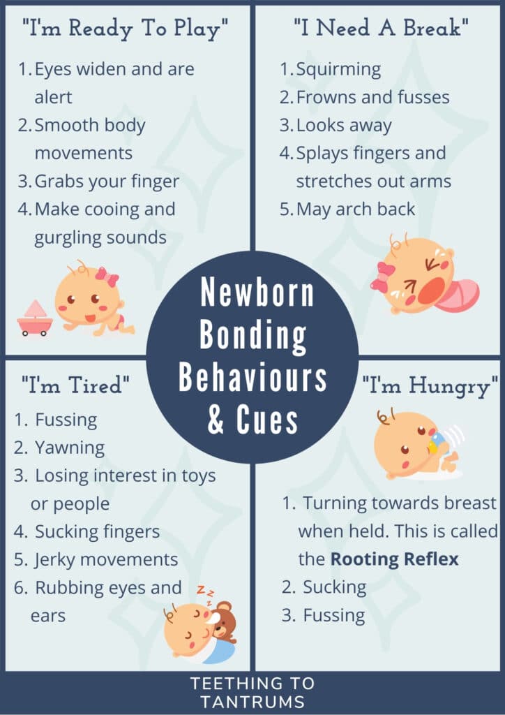 Newborn Bonding Behaviours and Cues