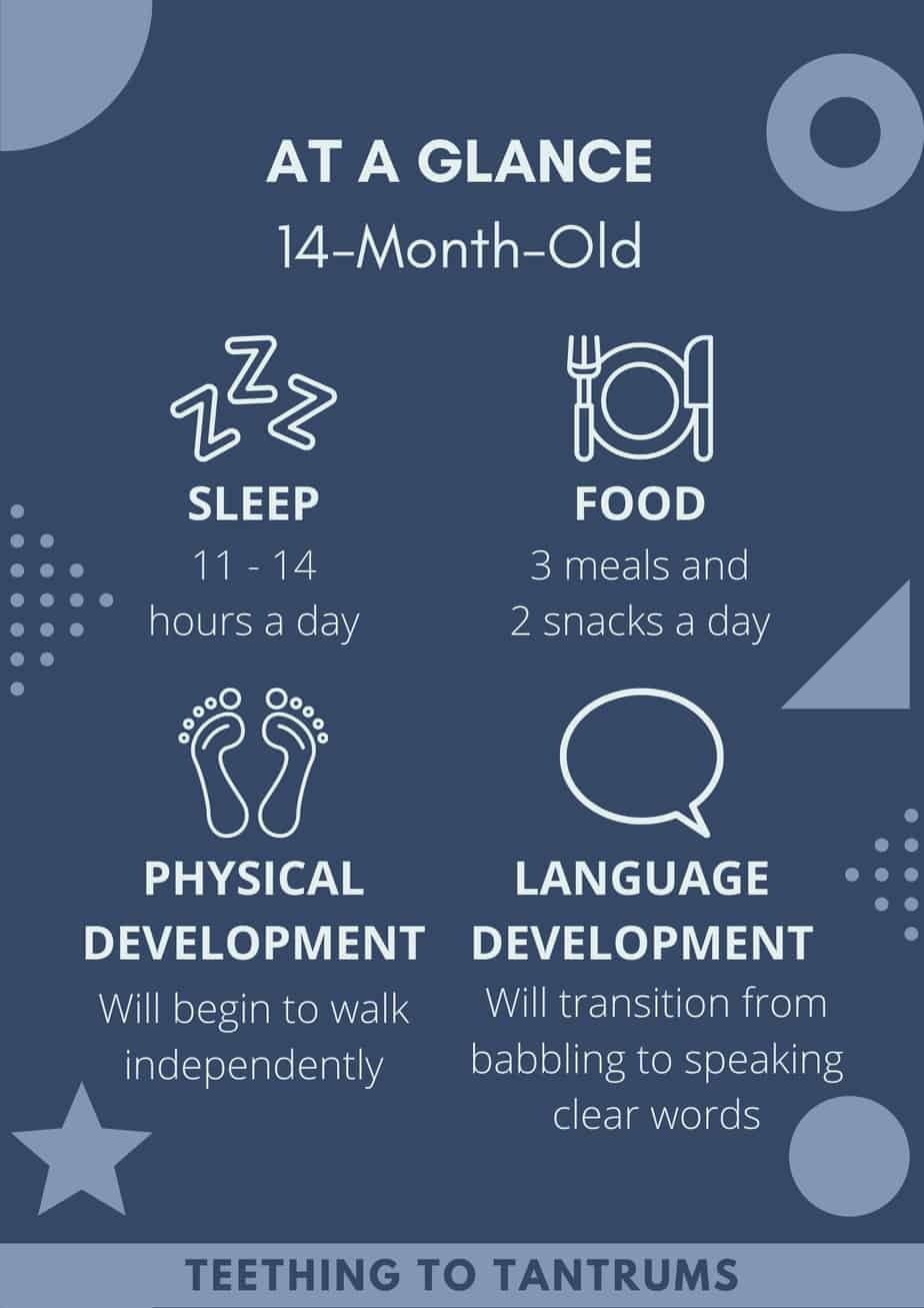 The Ultimate Guide To Your 14 Month Old – Welcome To Toddlerdom! The Ultimate Guide To Your 14 Month Old – Welcome To Toddlerdom!