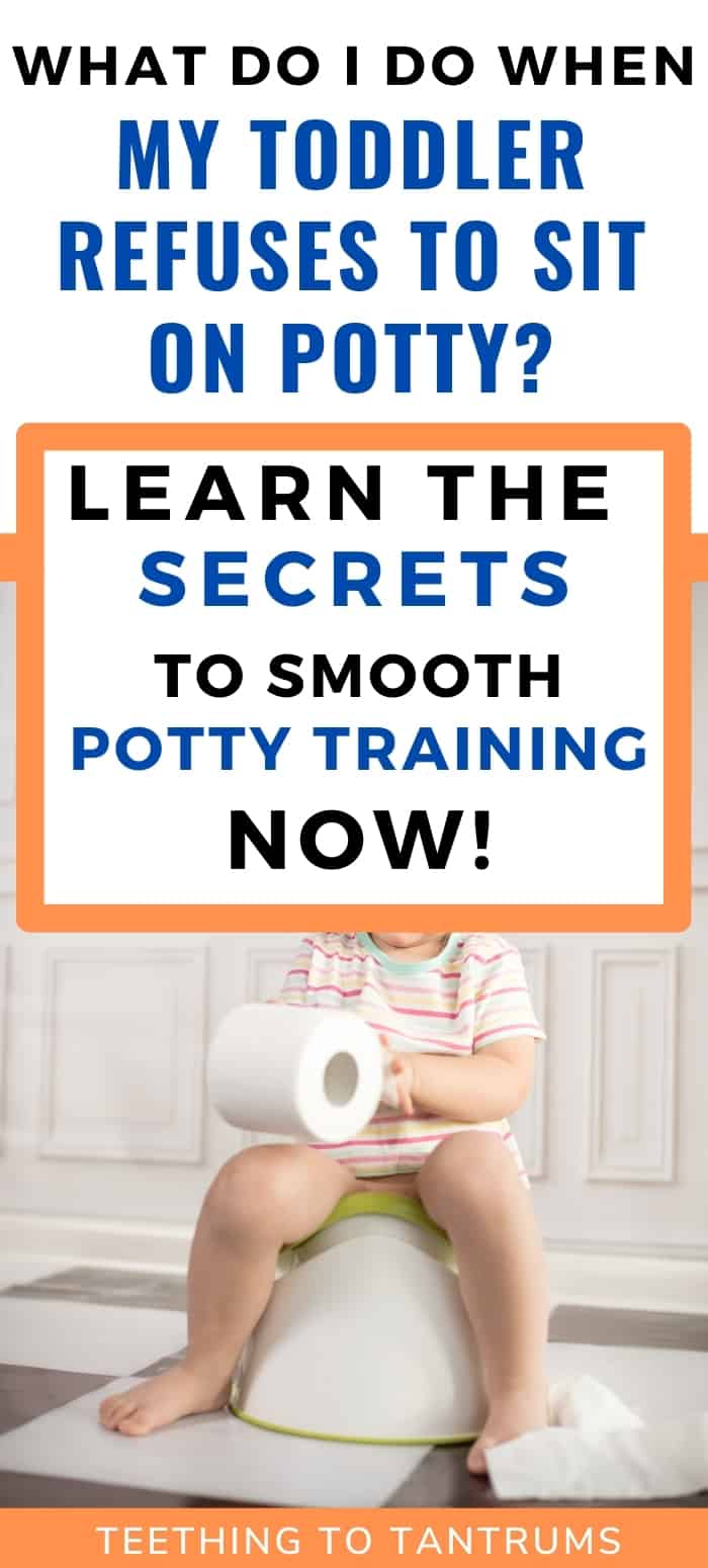 toddler refuses to sit on potty toddler refuses to sit on potty