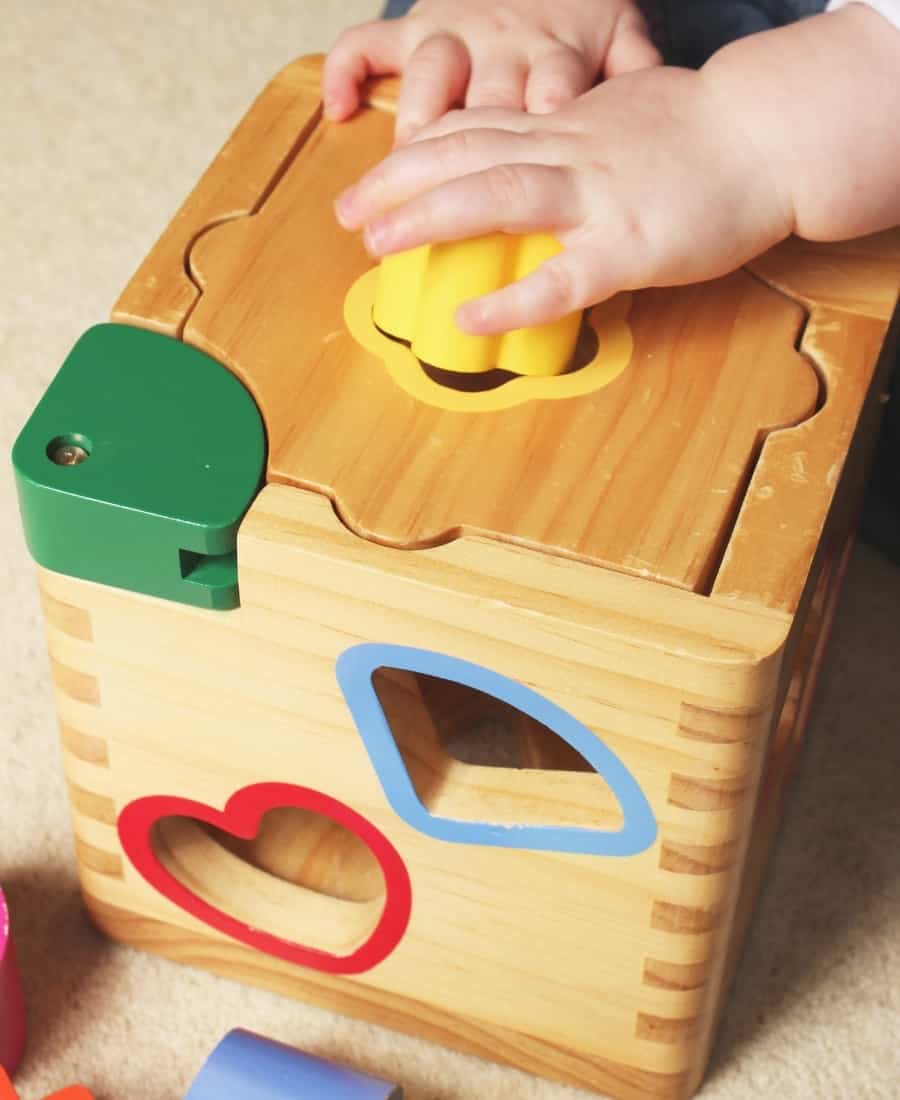 Shape Sorters
