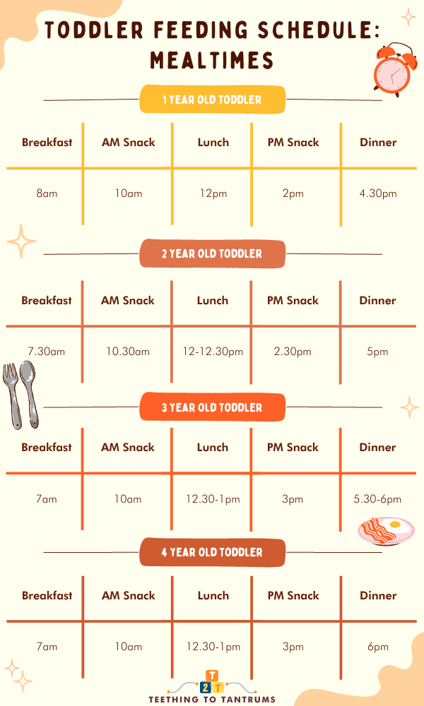 What Time Should A Toddler Eat Dinner Toddler Feeding Schedule