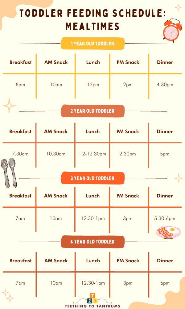 What Time Should A Toddler Eat Dinner 4pm 5pm 6pm What Time Should A Toddler Eat Dinner 4pm 5pm 6pm