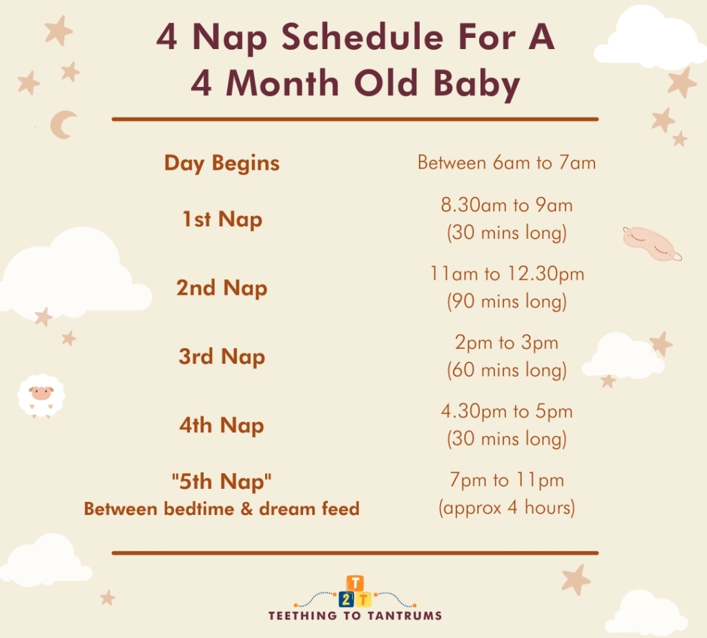 4 nap schedule for 4 month old