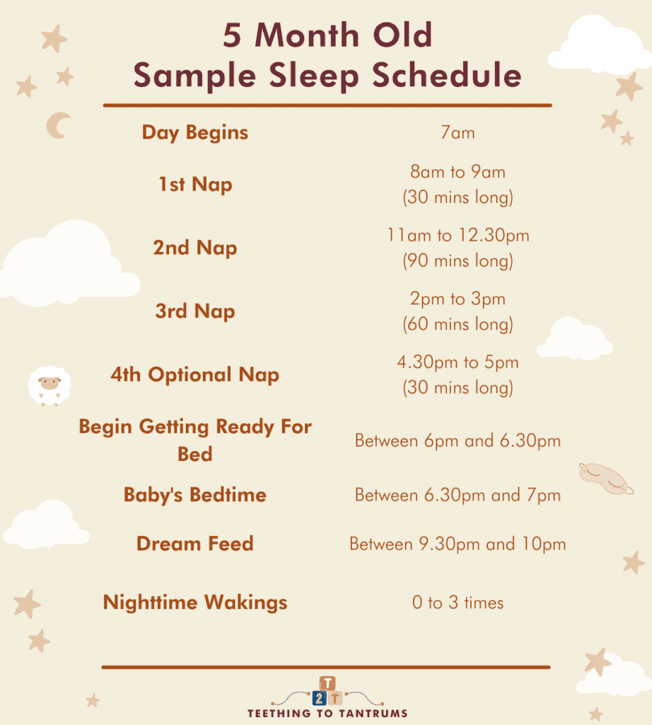5 Month Old Sleep Schedule Sample