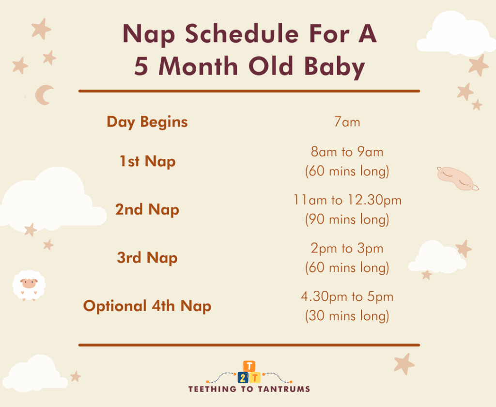 Nap Schedule For A 5 Month Old Baby