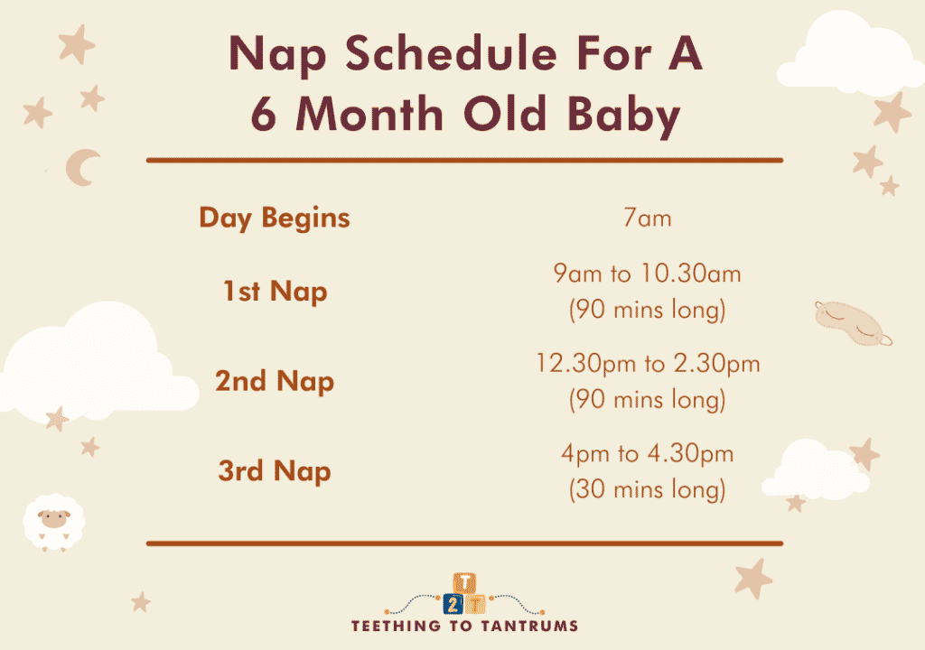 Nap Schedule For A 6 Month Old Baby