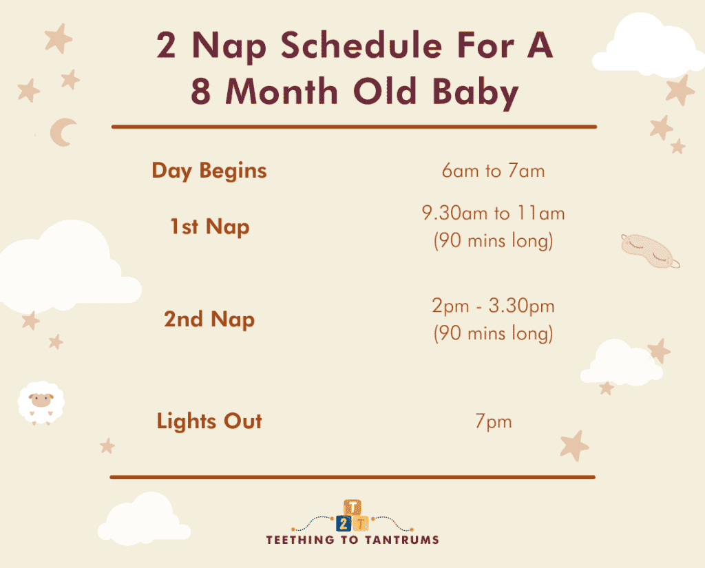 2 Nap Schedule For a 8 Month Old