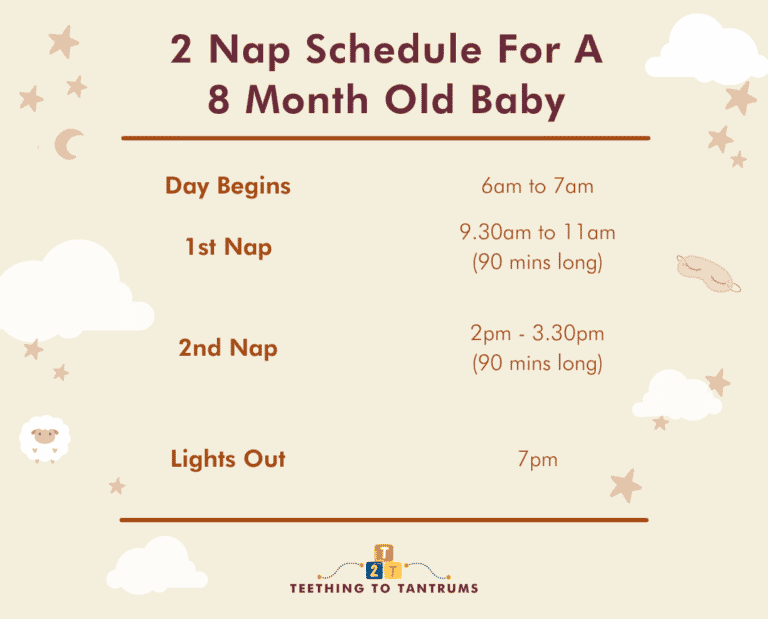 8 month old sleep schedule the complete guide