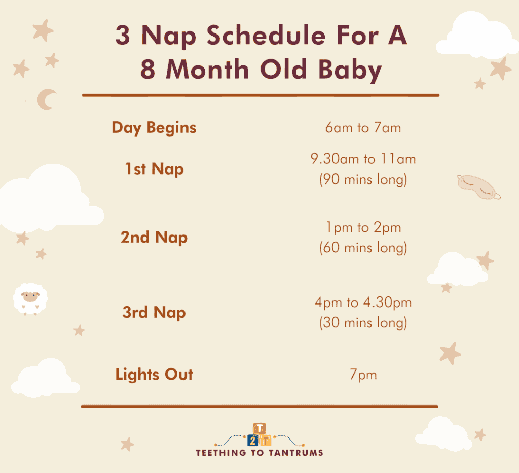 3 Nap Schedule For A 8 Month Old