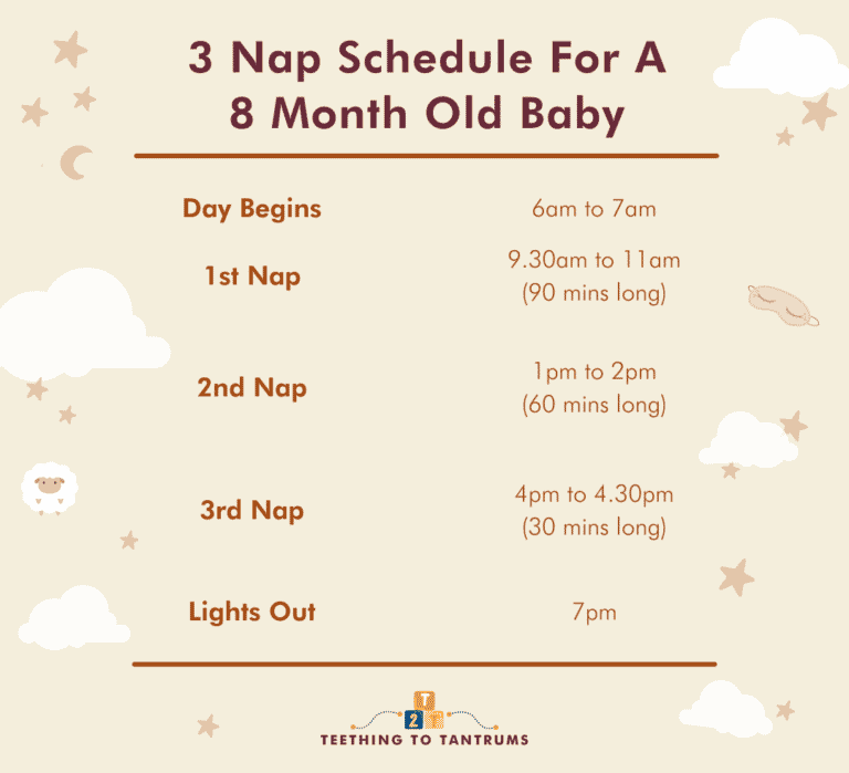 8 Month Old Sleep Schedule The Complete Guide 8-month-old-sleep-schedule-the-complete-guide