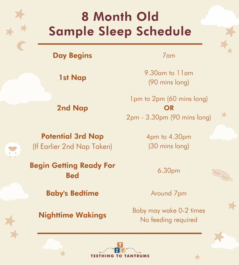 8 Month Old Sleep Schedule Sample