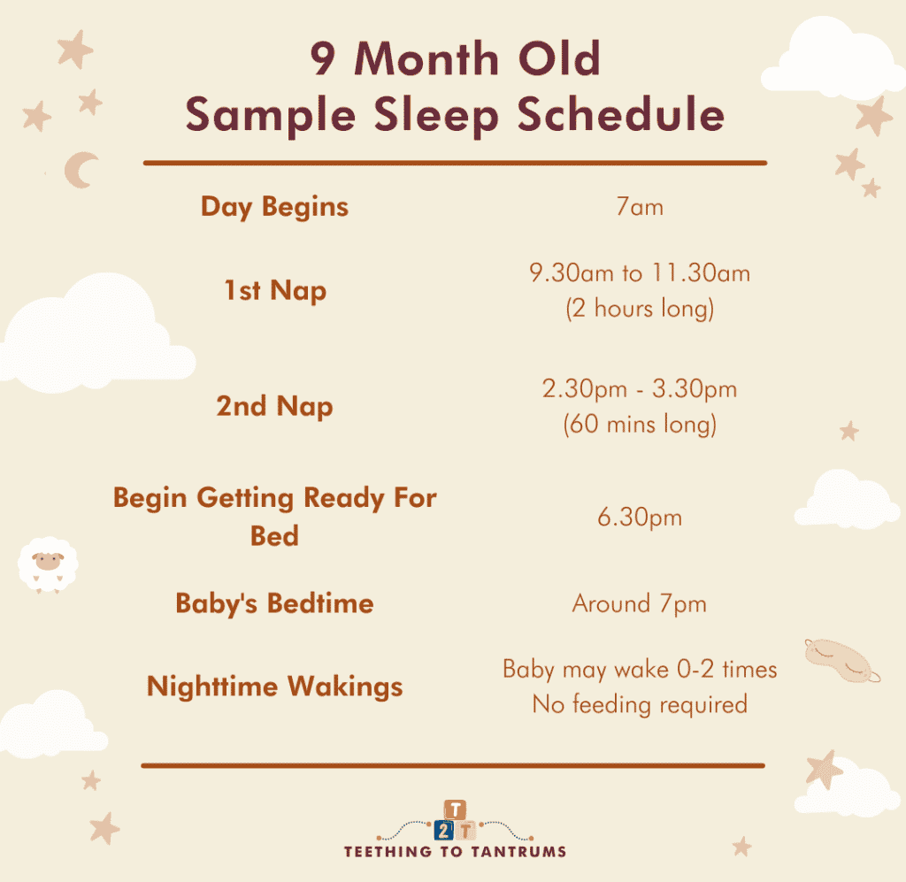 9 Month Old Sleep Schedule Sample