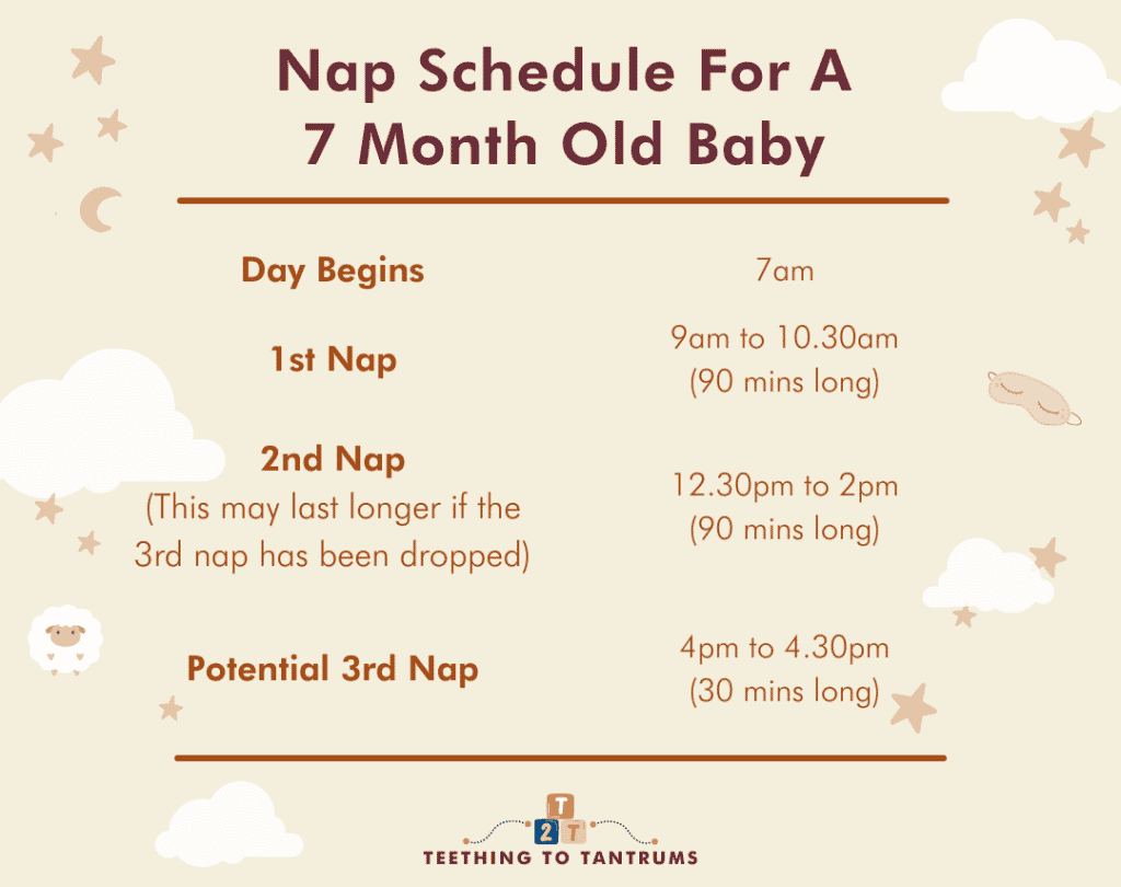 Nap Schedule For A 7 Month Old Baby