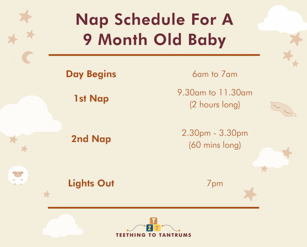 Nap Schedule For A 9 Month Old Baby