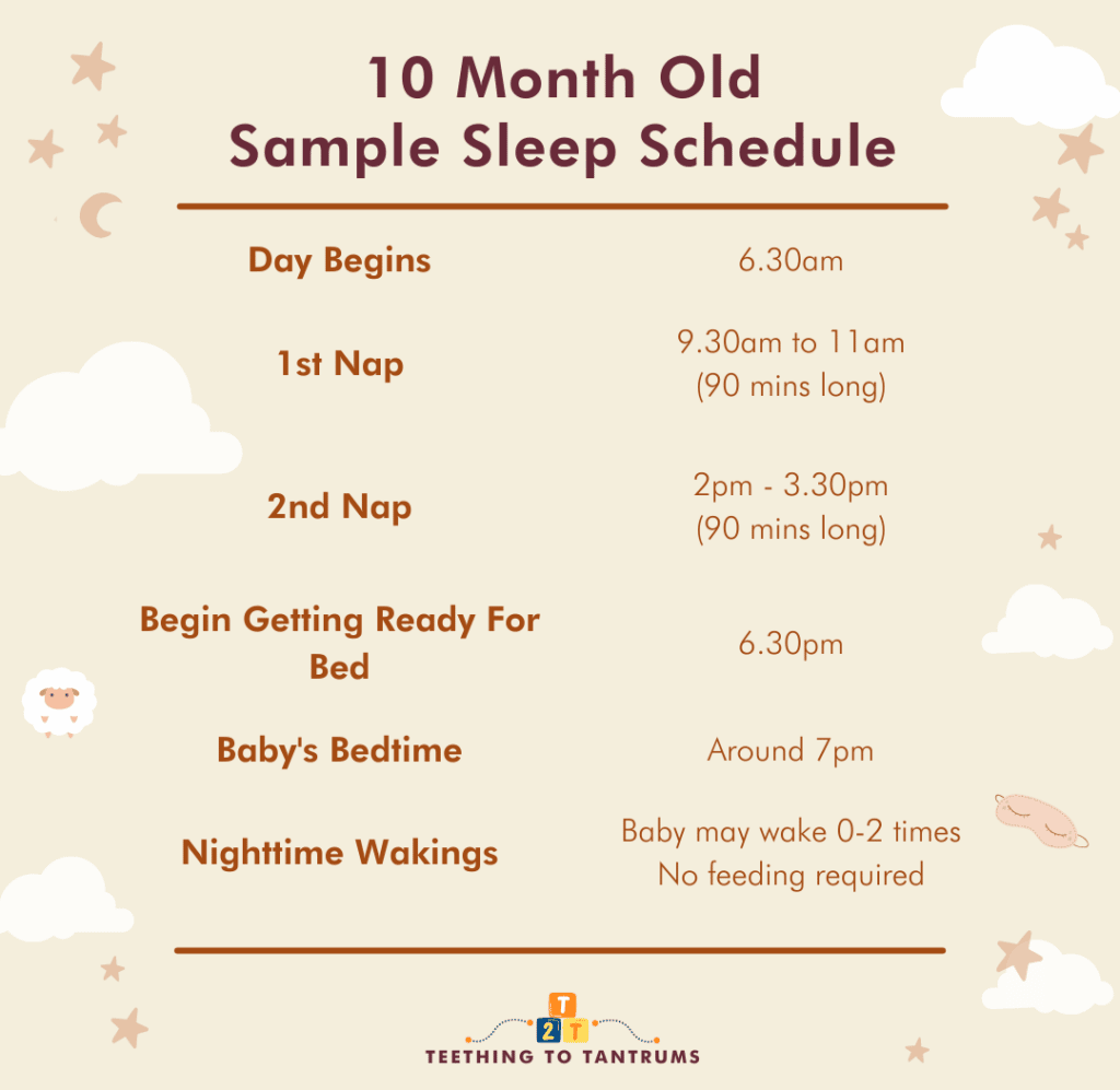 10 Month Old Sleep Schedule Sample
