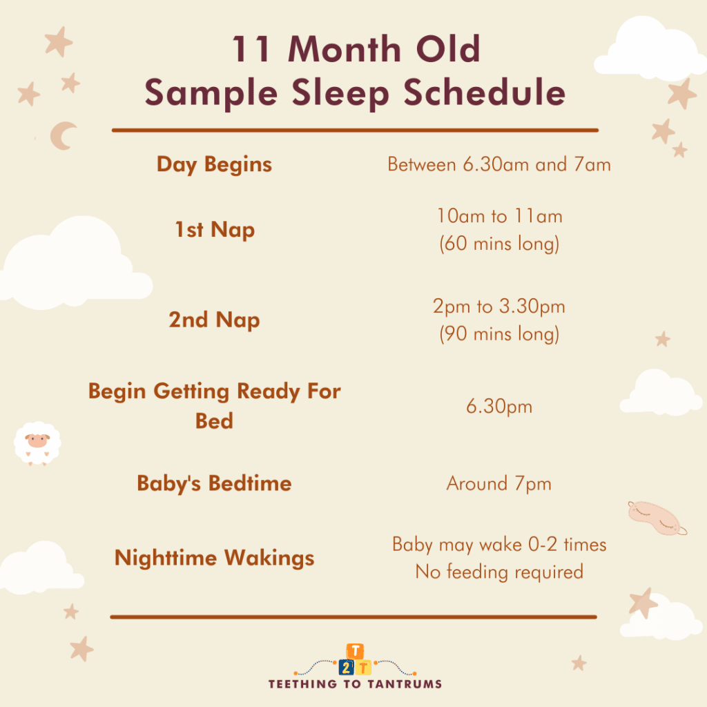 11 Month Old Sleep Schedule Sample