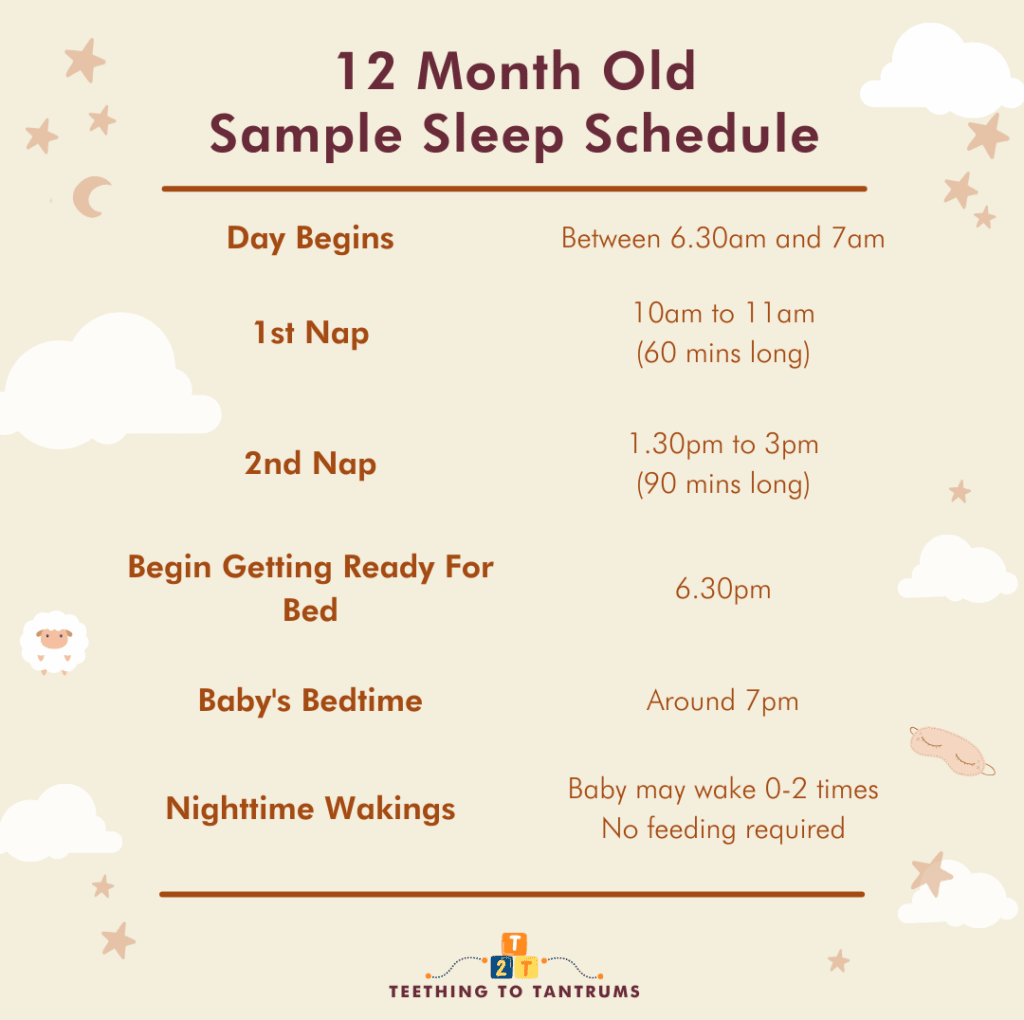12 Month Old Sleep Schedule Sample