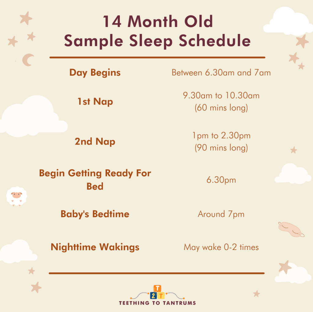 14 Month Old Sleep Schedule Sample