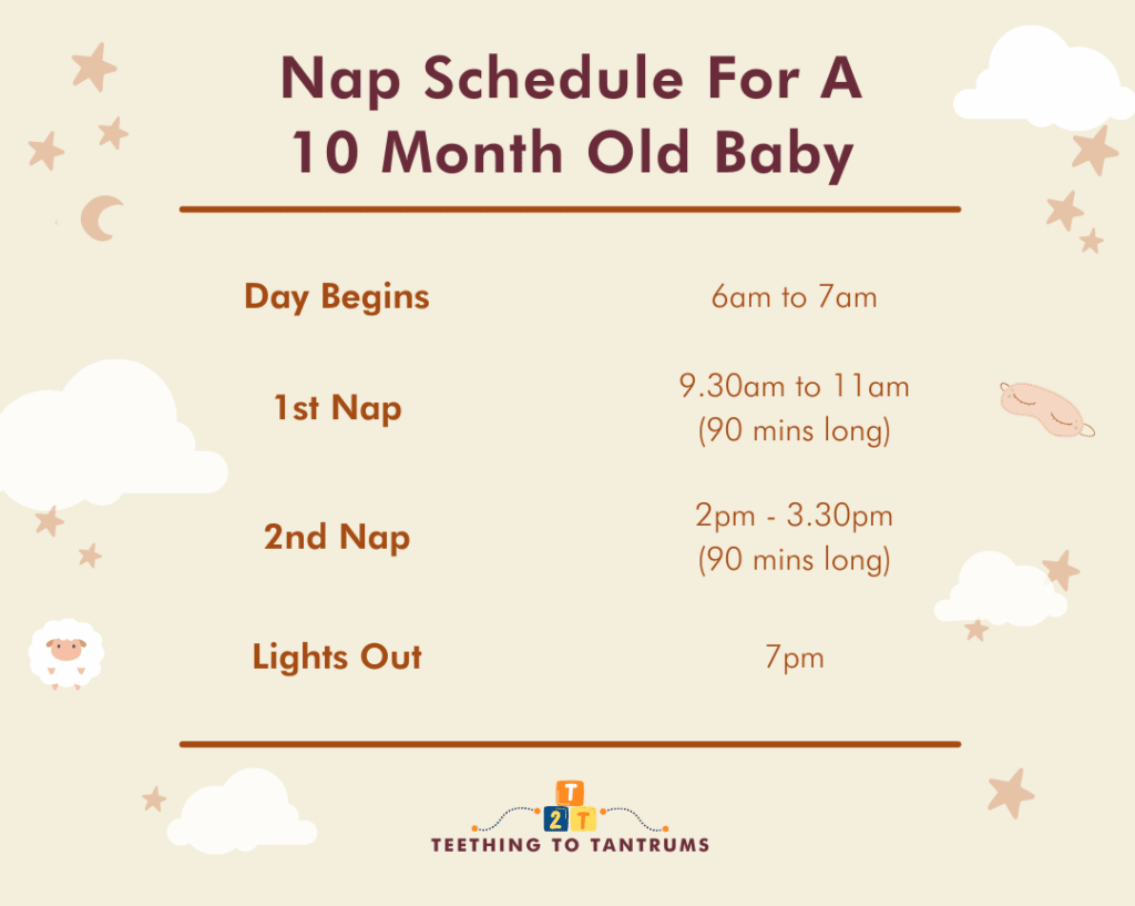 Nap Schedule For A 10 Month Old Baby