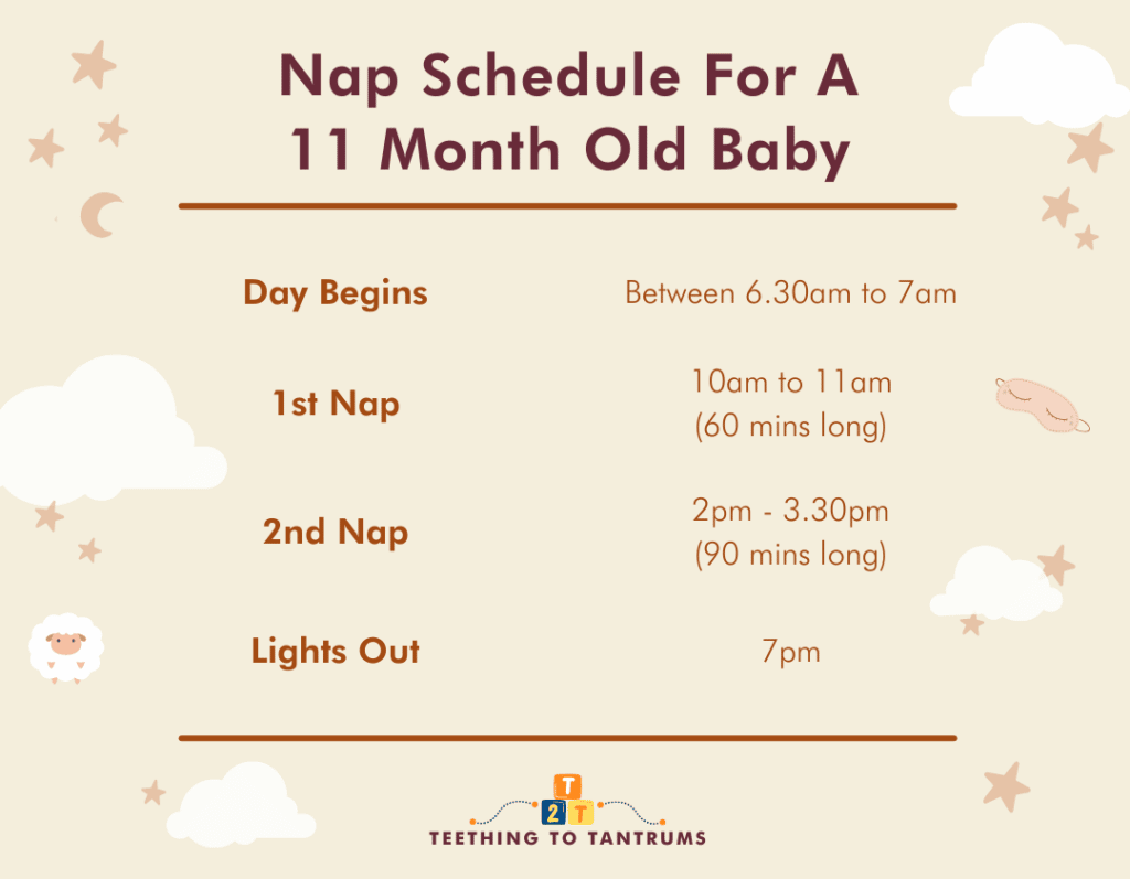 Nap Schedule For A 11 Month Old Baby
