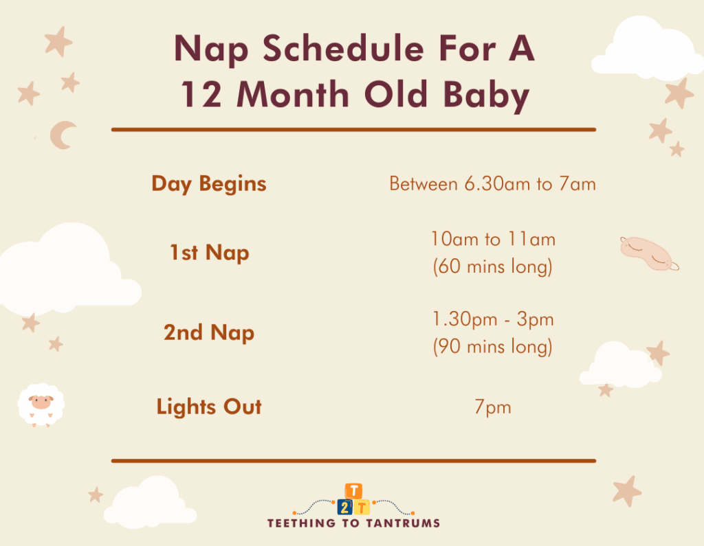 Nap Schedule For A 12 Month Old Baby