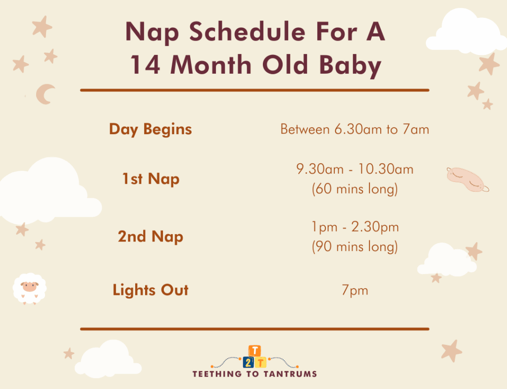 Nap Schedule For A 14 Month Old Baby