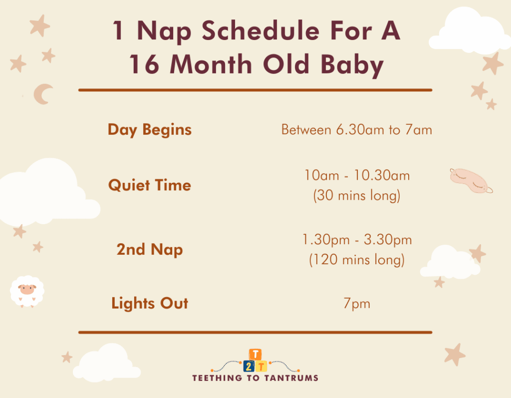 1 Nap Schedule For 16 Month Old