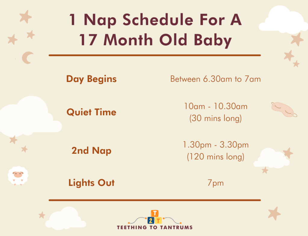 1 Nap Schedule For 17 Month Old
