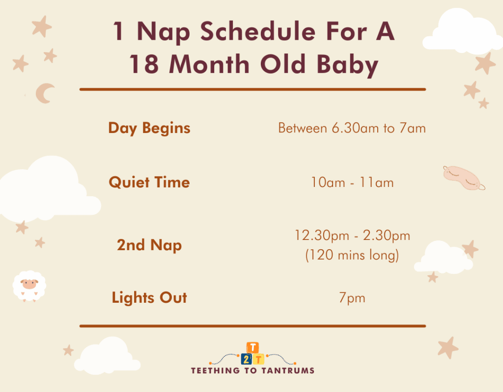1 Nap Schedule For 18 Month Old