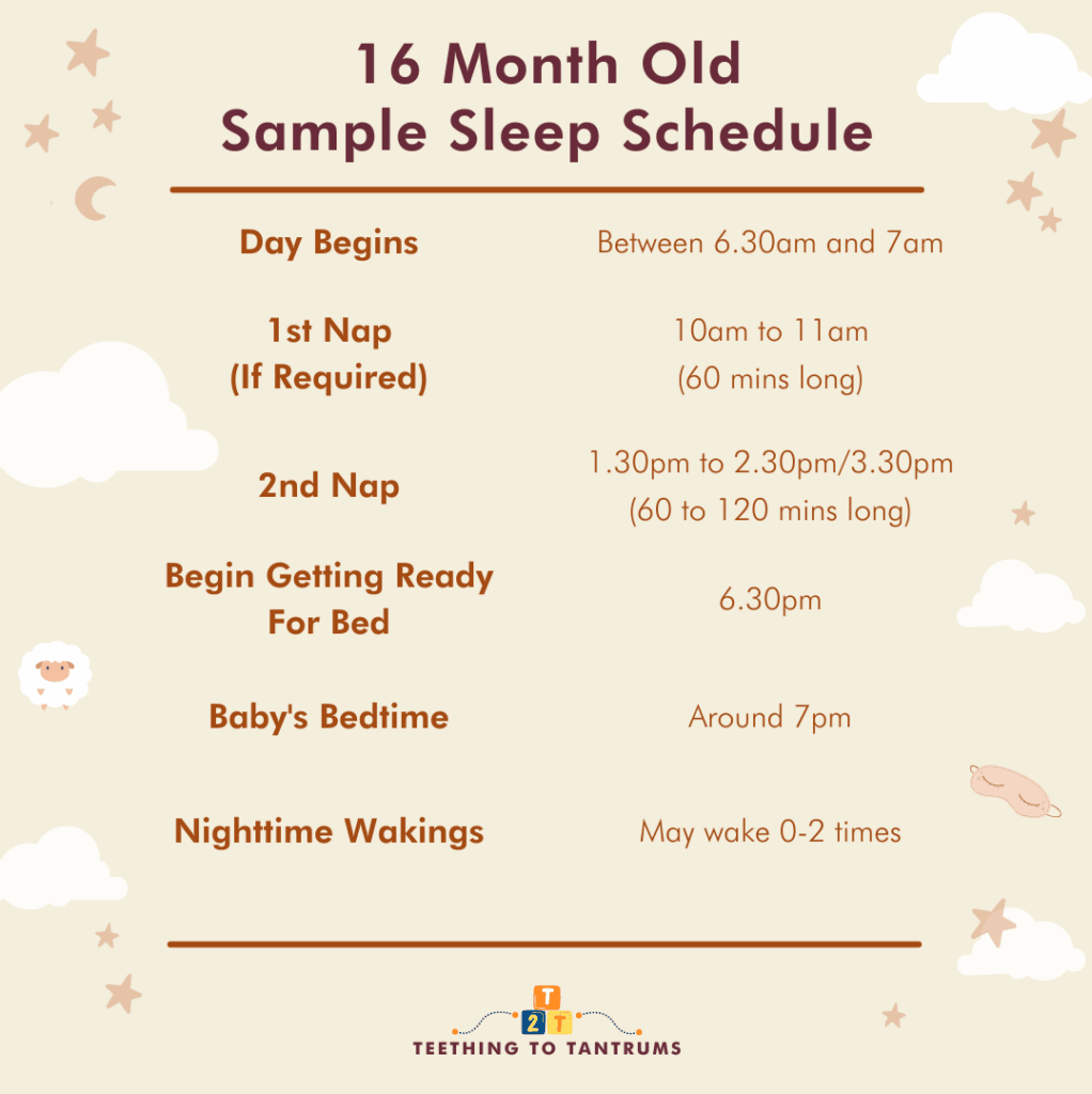 16 Month Old Sleep Schedule Sample