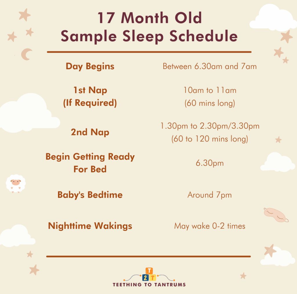 17 Month Old Sleep Schedule Sample