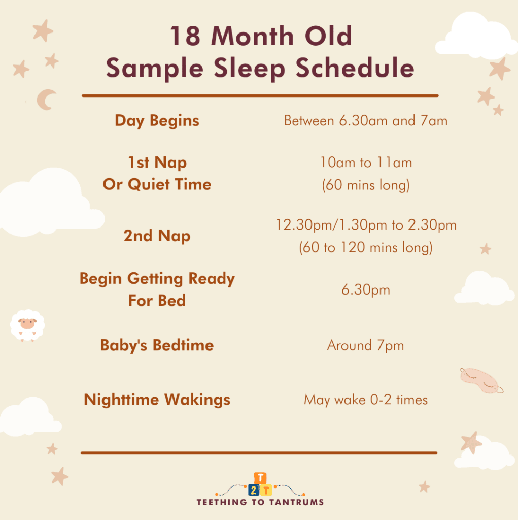 18 Month Old Sleep Schedule Sample