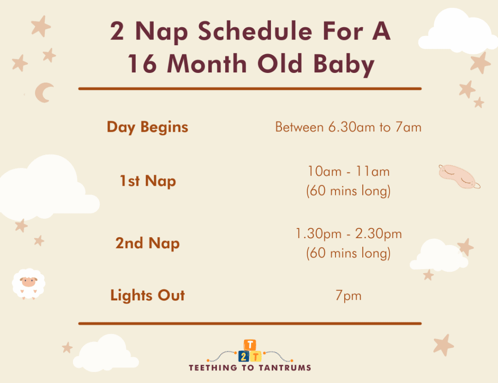2 Nap Schedule For 16 Month Old