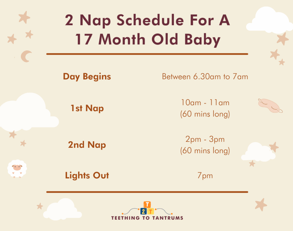 2 Nap Schedule For 17 Month Old