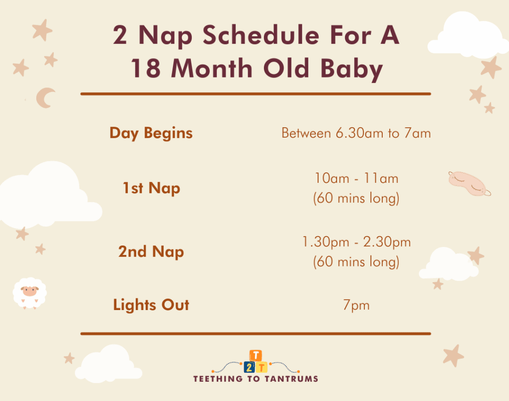 2 Nap Schedule For 18 Month Old