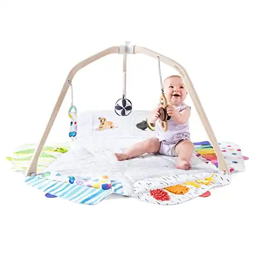 The Lovevery Play Gym | Stage-Based Developmental Activity Gym & Play Mat for Baby to Toddler