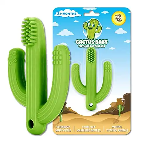 Cactus Baby Teething Toys for Infants and Toddlers: BPA Free