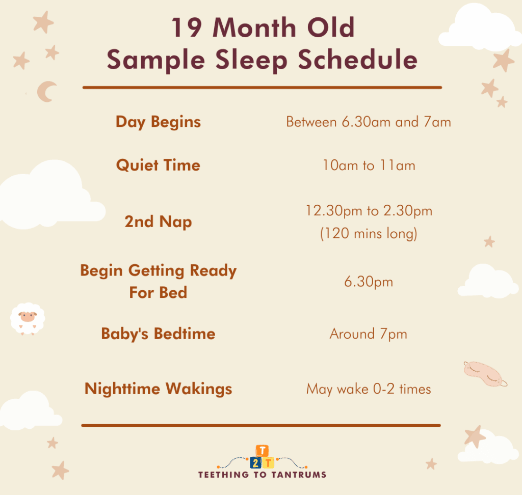 19 Month Old Sleep Schedule Sample