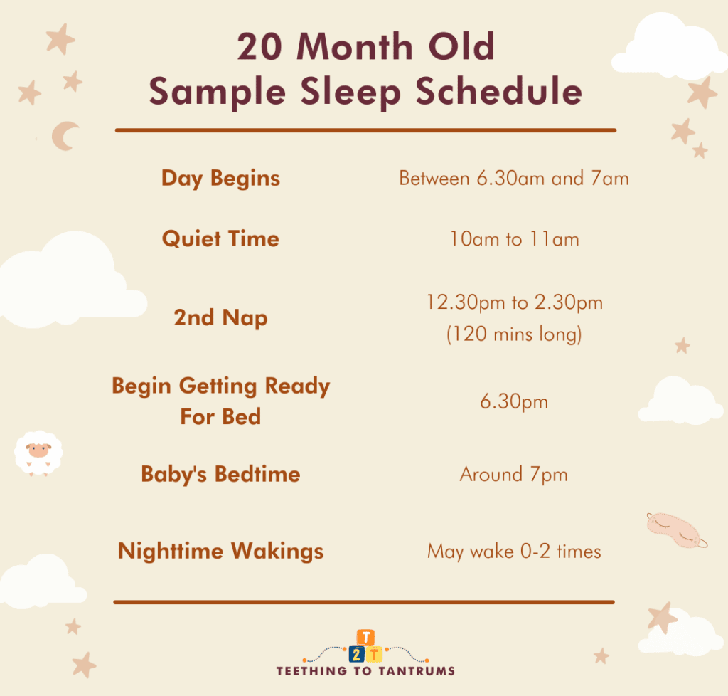 20 Month Old Sleep Schedule Sample