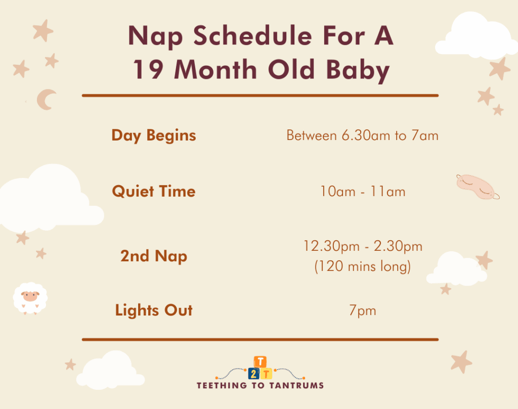 Nap Schedule For A 19 Month Old Baby