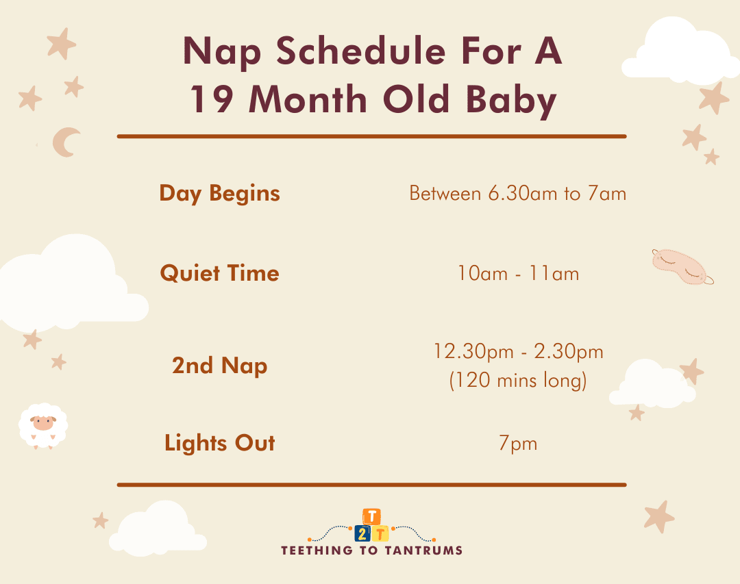 19 Month Old Sleep Schedule The Complete Guide