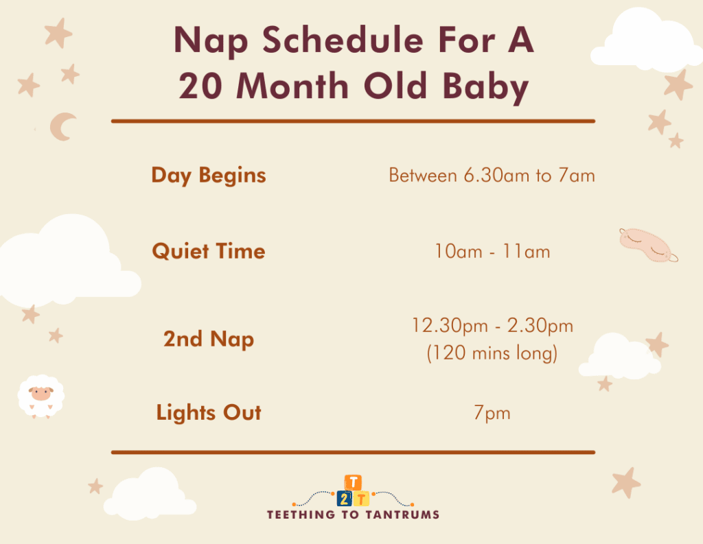 Nap Schedule For A 20 Month Old Baby