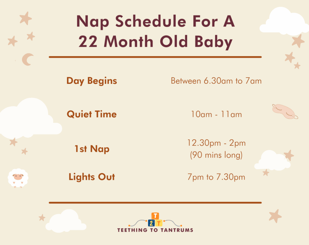 Nap Schedule For A 22 Month Old Baby