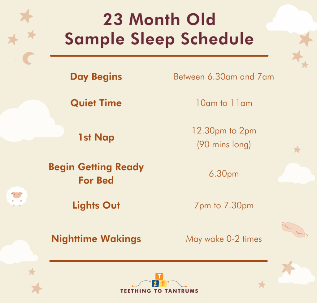 23 Month Old Sleep Schedule Sample