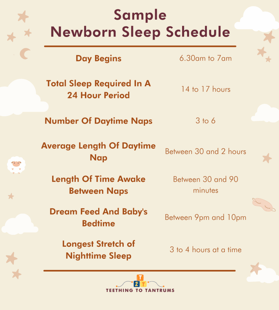 Newborn Sleep Schedule Sample