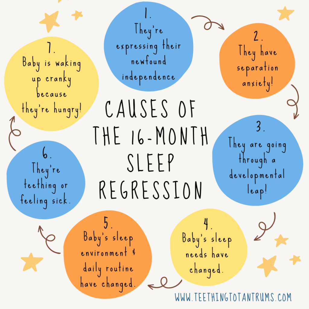 Causes Of The 16 Month Sleep Regression