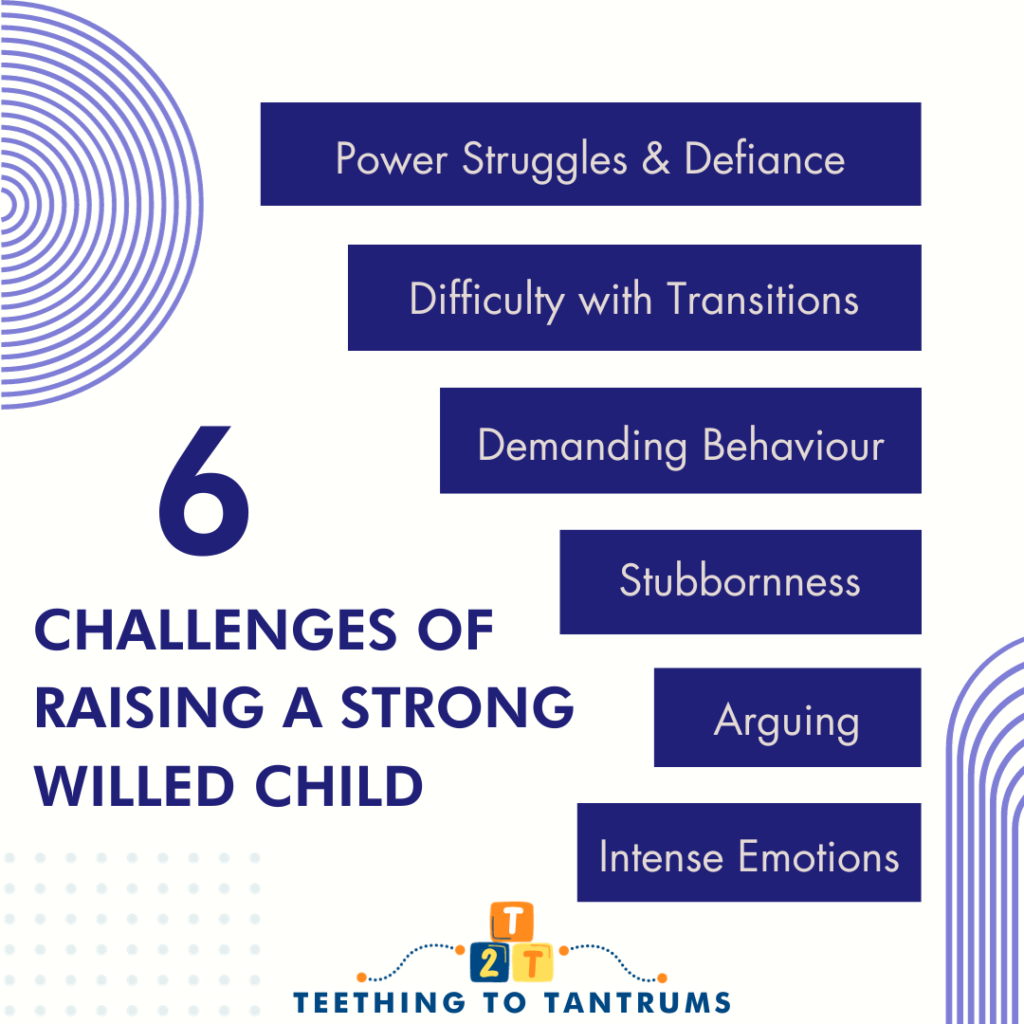 Challenges With Of A Strong Willed Child