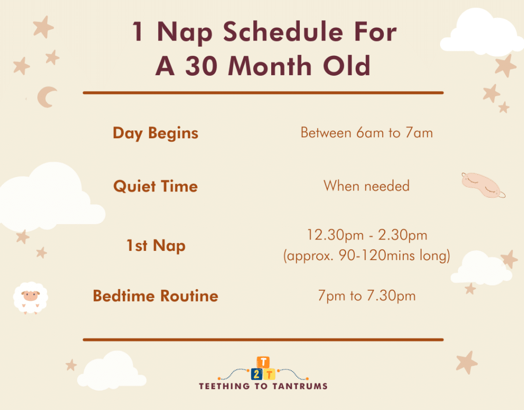 1 Nap Schedule For 30 Month Old