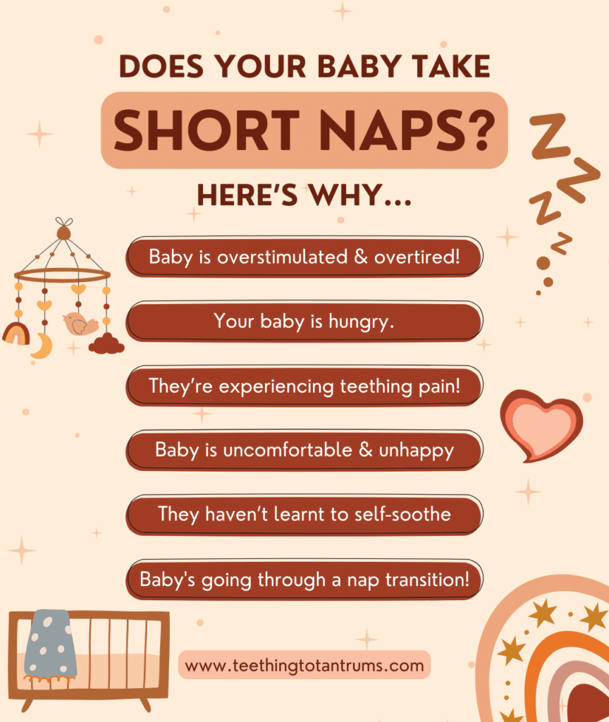 Causes of Baby's Short Naps